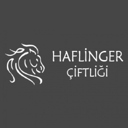 Haflinger Çiftliği